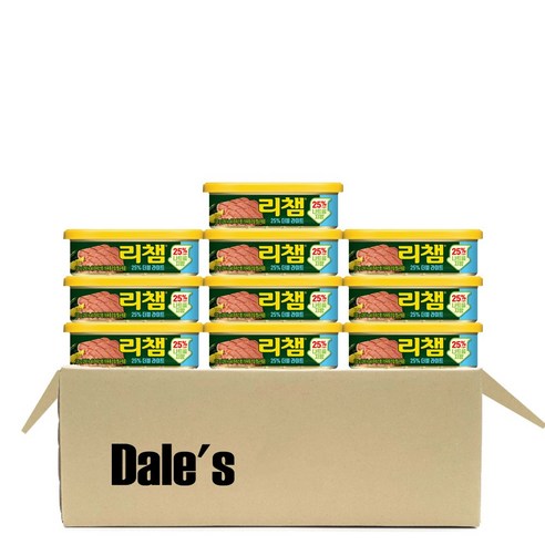 데일즈기획 동원 리챔 더블라이트, 120g, 10개