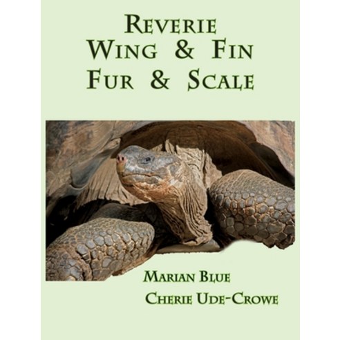 (영문도서) Reverie Wing & Fin Fur & Scale Hardcover, Sunbreak Press, English, 9781735709307