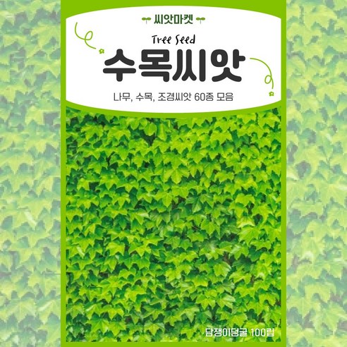 각종 나무 씨앗 모음 수목 과수 산림 조경 나무씨 종자, 38.AR꾸지뽕나무 200립, 1개