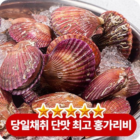 십이밥상 국내산 통영 당일채취 단맛 홍가리비 조개, 1개, 1kg