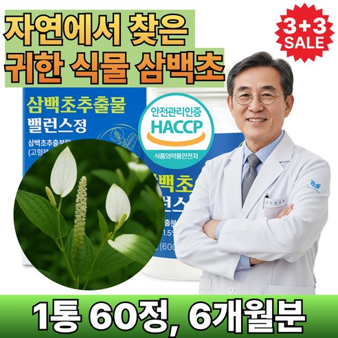 삼백초 추출물 식약청인증 100% 국산 삼백초정 플라보노이드 6p