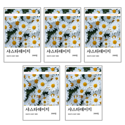 샤스타데이지 씨앗 2000립(코팅 종자 8g), 5개