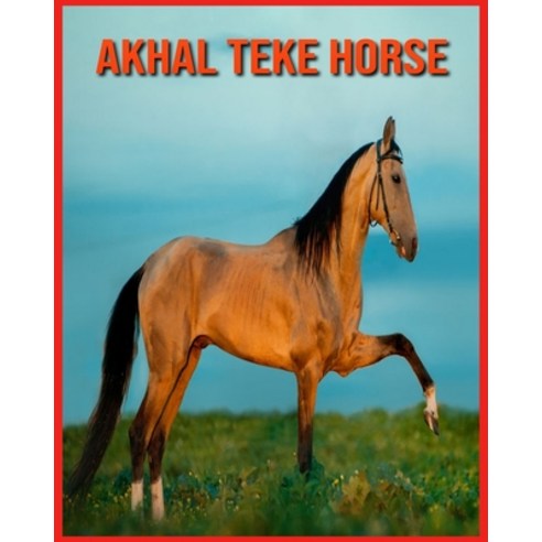 Akhal Teke Horse: Fun Learning Facts About Akhal Teke Horse Paperback, Independently Published, English, 9798706038953