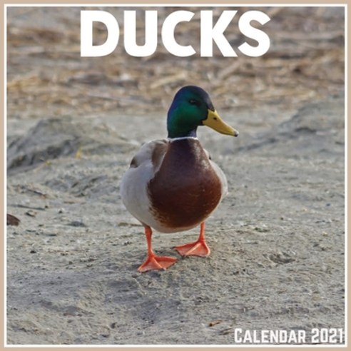 Ducks Calendar 2021: Official Ducks Calendar 2021 12 Months Paperback, Independently Published, English, 9798717820554