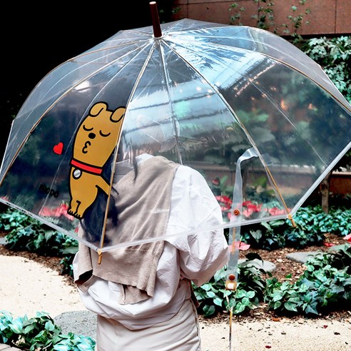 카카오프렌즈 캐릭터 투명 비닐 자동 지팡이 우산 장우산 57.5cm 프로도