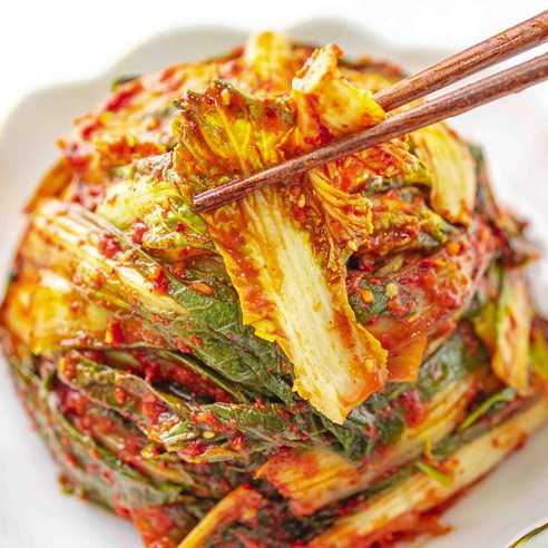 김치 없인 못 살아 전라도 얼갈이 겉절이로 찾은 진짜 맛