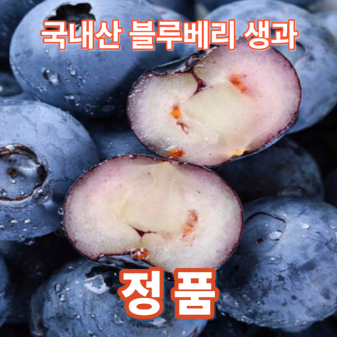 서비네 산지직송 국내산 블루베리 생과