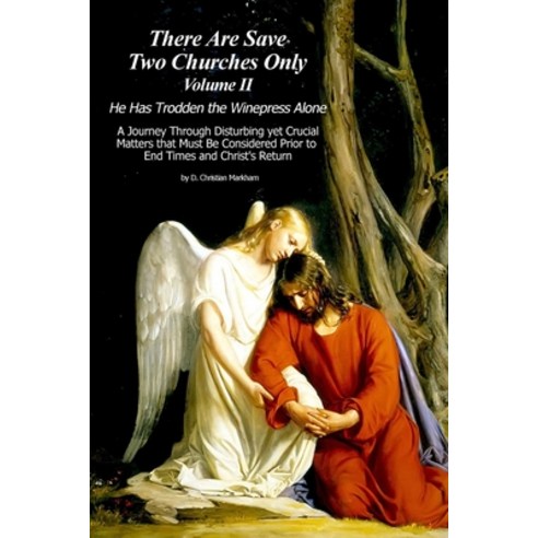 (영문도서) There Are Save Two Churches Only Volume II Paperback, Lulu.com, English, 9781329682108