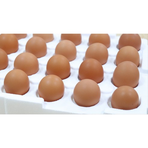 동물복지형 농장에서 자란, 건강한 닭에서 태어난, 풍부한 영양가와 뛰어난 품질의 유정란