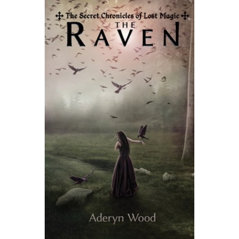 (영문도서) The Raven Paperback, Createspace Independent Pub..., English, 9781530696451