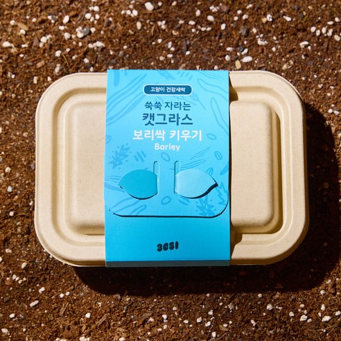 3651 쑥쑥 자라는 캣그라스 키우기 재배세트, 1개, 160g, 보리싹