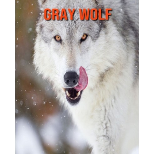 Gray Wolf: Amazing Facts about Gray Wolf Paperback, Independently Published, English, 9798550861189