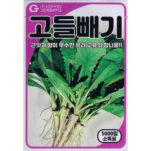 고들빼기 5000립, 2개