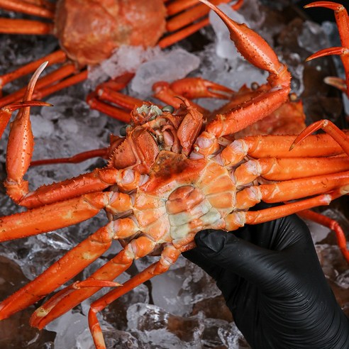 신선도와 맛, 가성비가 뛰어난 구룡포산 연지홍게