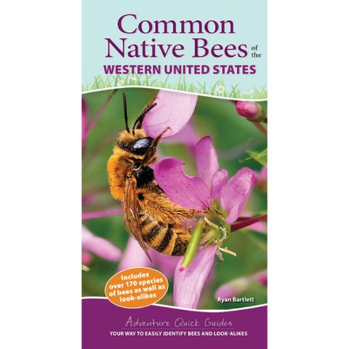 (영문도서) Common Native Bees of the Western United States: Your Way to Easily Identify Bees and Look-Al... Spiral, Adventure Publications, English, 9781647553630