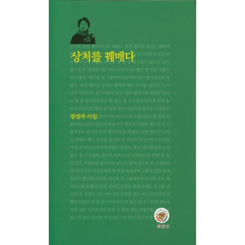 상처를 꿰매다:정경자 시집, 북랜드