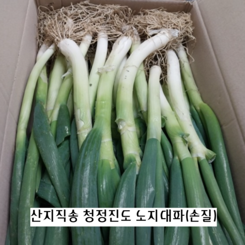 향이 진하고 달달한 진도 손질 노지대파 3KG 5KG 10KG 청정진도 산지직송 노란잎제거 손질대파, 1개