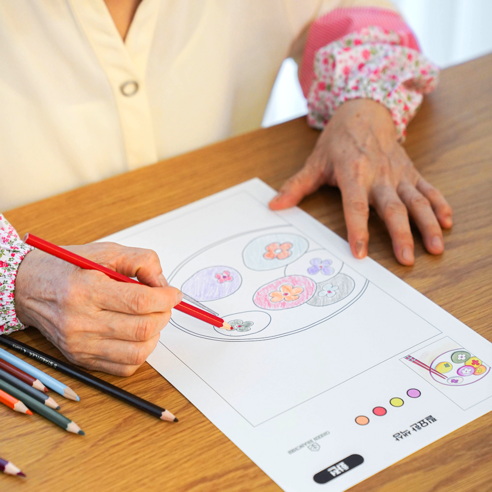 마음을 물들이는 시간, 컬러링북으로 되찾는 삶의 여유