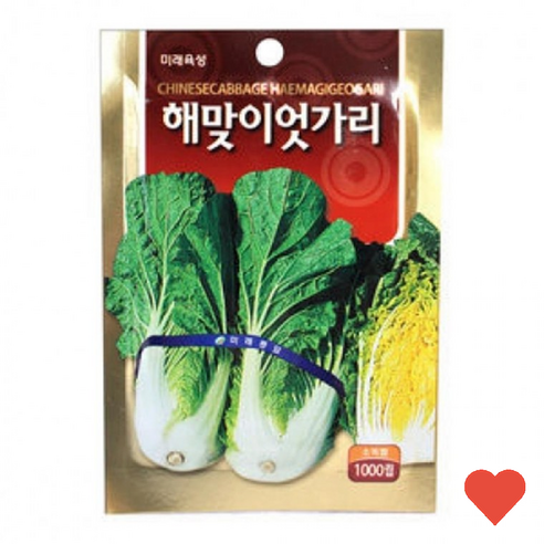 원예 식물 텃밭 배추 씨앗 텃발 모종