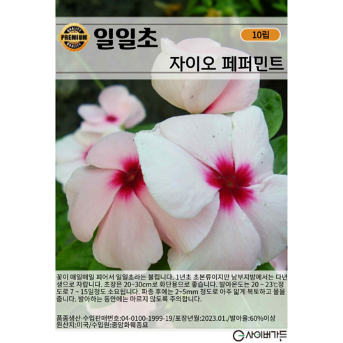 일일초 자이오 페퍼민트 씨앗 10립 일일초 꽃씨 씨앗 대장, 1개