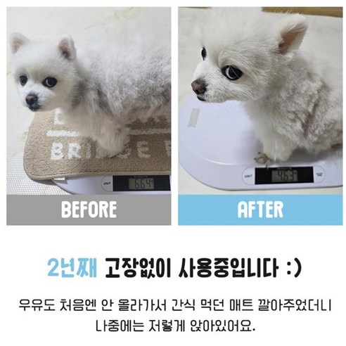 사랑하는 반려동물을 위한 정밀한 건강 관리, 빼자펫 디지털 신생아 체중계
