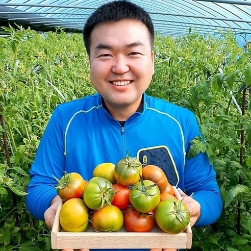 (람이네)재구매 많은 대저 토마토 찰토마토 대과 2.5kg 주스용 쥬스용토마토 산지직송, 1개, 대저 주스용토마토2.5kg