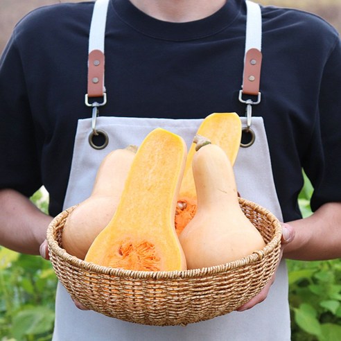 제주의 햇살을 담은 달콤한 땅콩호박, 건강과 맛을 한 번에!