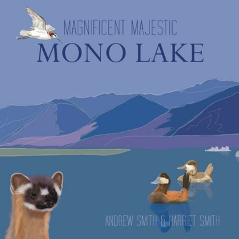 (영문도서) Magnificent Majestic Mono Lake Paperback, Publish Authority, English, 9781954000308