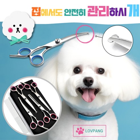 럽팡 가정용 반려동물 둥근팁 미용가위, 블루, 6개