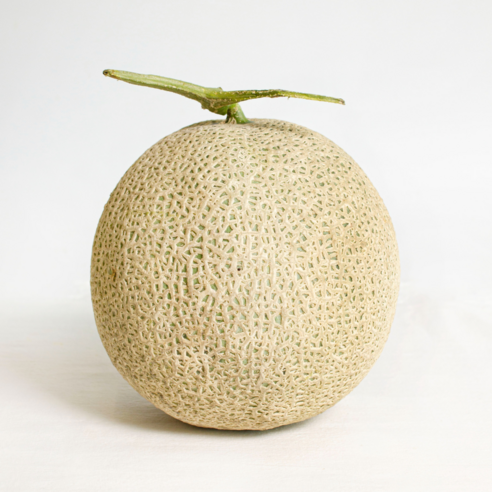 프리미엄 고당도 국산 머스크 메론, 1개, 특품 머스크 메론 1수 (1.5kg 내외)