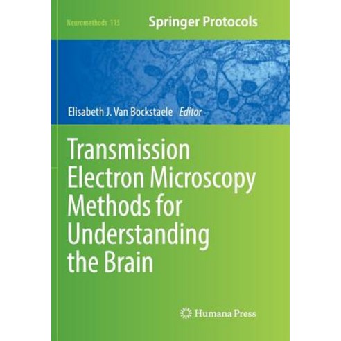 (영문도서) Transmission Electron Microscopy Methods for Understanding the Brain Paperback, Humana, English, 9781493981038