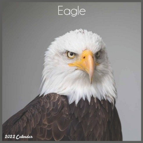 (영문도서) Eagle 2022 Calendar: Official Eagle Bird Calendar 2022 16 Month Square Calendar Paperback, Independently Published, English, 9798749483987