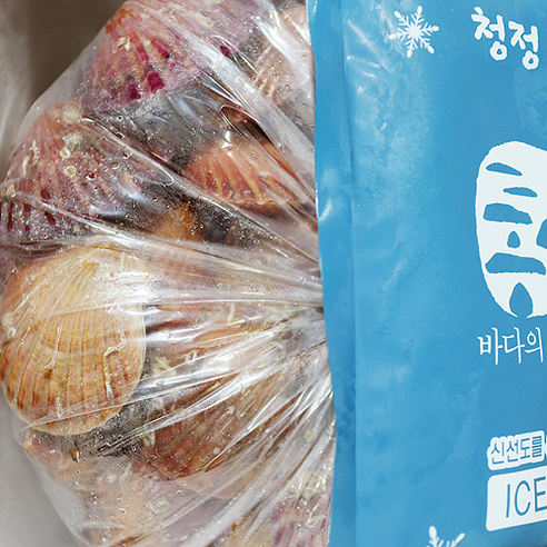 통영의 신선하고 깨끗한 제철 가리비, 초장 서비스로 풍부한 맛을 제공