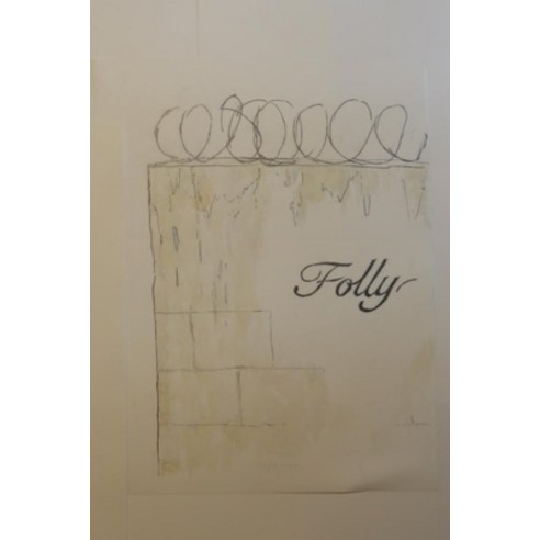 Folly Paperback, Slug and Bubble, LLC