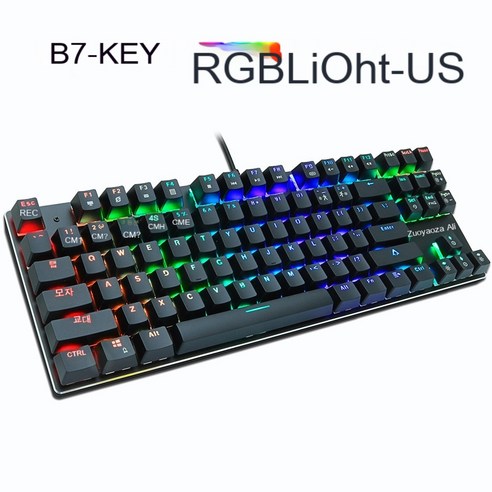 YJQ 게이밍 기계식 키보드 블루 레드 스위치 87key RU/US 유선 키보드 게이머 PC 노트북 용 고스트 방지 RGB/믹스 백라이트 LED USB, 폴란드, 색깔4, 폴란드
