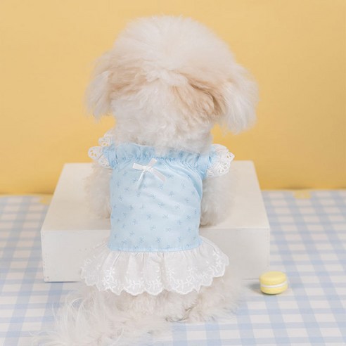 사랑스러운 댕댕이를 위한 특별한 선물, 도그네 펀칭 데일리 리본 레이스 티셔츠 댕댕이레이스포인터런