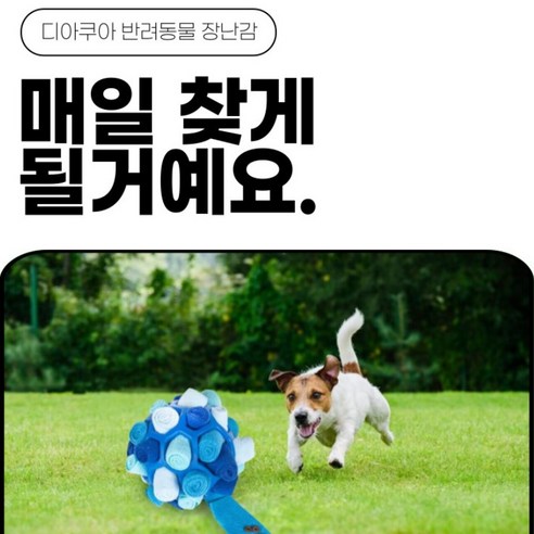 반려견을 위한 최고의 노즈워크 장난감