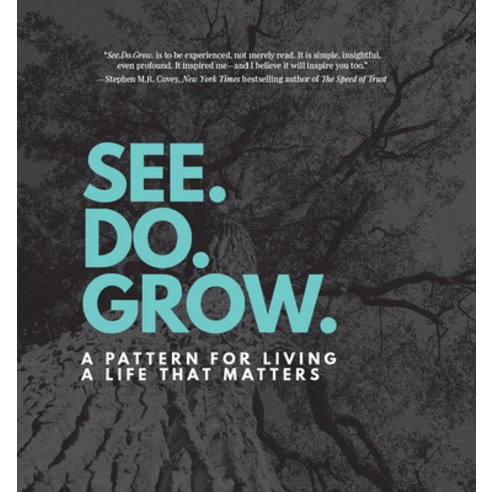 (영문도서) See. Do. Grow.: A Pattern for Living a Life That Matters Hardcover, Made for Success Publishing, English, 9781641463669