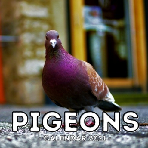Pigeons Calendar 2021: 16-Month Calendar Cute Gift Idea For Pigeon Lovers Women & Men Paperback, Independently Published, English, 9798745805042
