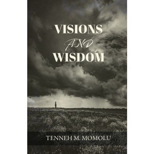 (영문도서) Visions and Wisdom Paperback, Trilogy Christian Publishing, English, 9798887383064