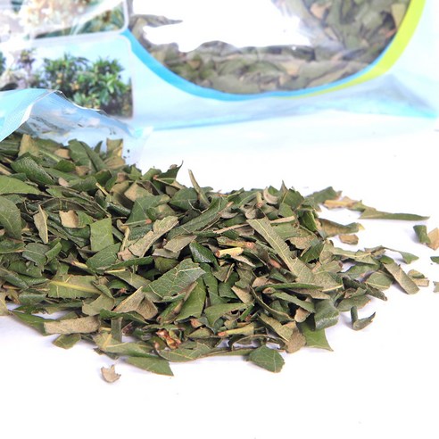 완도의 숨결, 비파건잎으로 건강과 아름다움을 동시에!