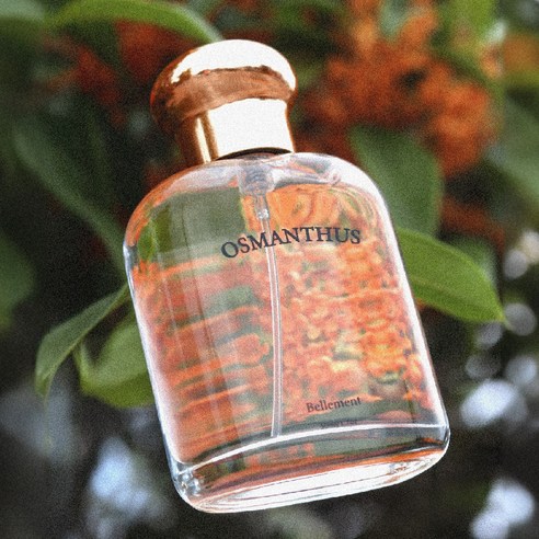 잊을 수 없는 첫사랑의 향기, 당신의 하루를 특별하게 만들 향수는? 금목서향수