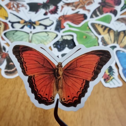 예스몰 팬시 스티커 50p 세트, 1세트, 나비A