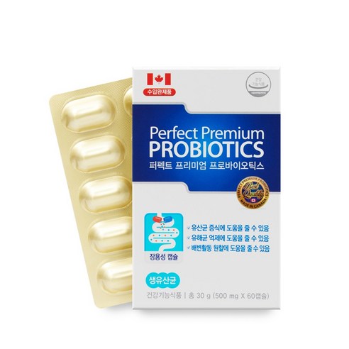 캐나다 모유 L람노서스 GG 유산균 프로바이오틱스 500억 투입 100억 보장 신바이오틱스, 60정, 1개