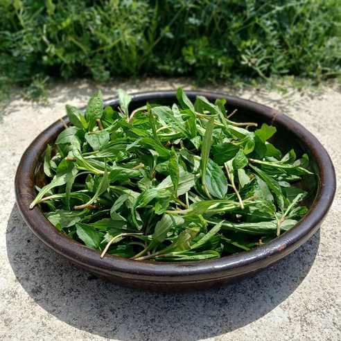 지리산 쑥부쟁이로 봄의 활력을 식탁에 담다