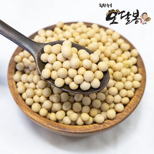 힘찬농부오달봉 국산 백태 대원콩 메주콩 대두콩, 500g, 1개