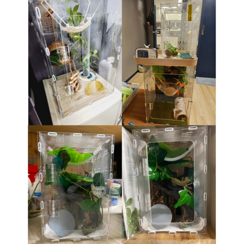 작지만 확실한 행복, 펫앤홈 게코 도마뱀 아크릴 사육장으로 시작하세요!