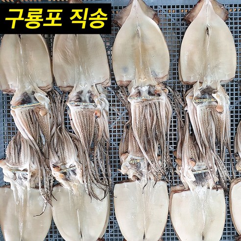 [구룡포 직송] 국산 반건조 오징어 원양산, 1개, 원양산 반건조 1kg 10미