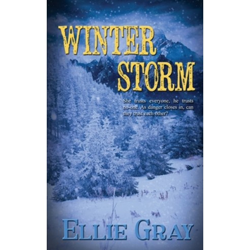 (영문도서) Winter Storm Paperback, Wild Rose Press, English, 9781509236336