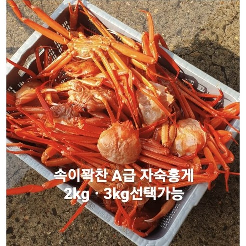 속이꽉찬 강구항 후포리 자숙홍게 2kg 3kg 붉은 대게 산지직송, 1개